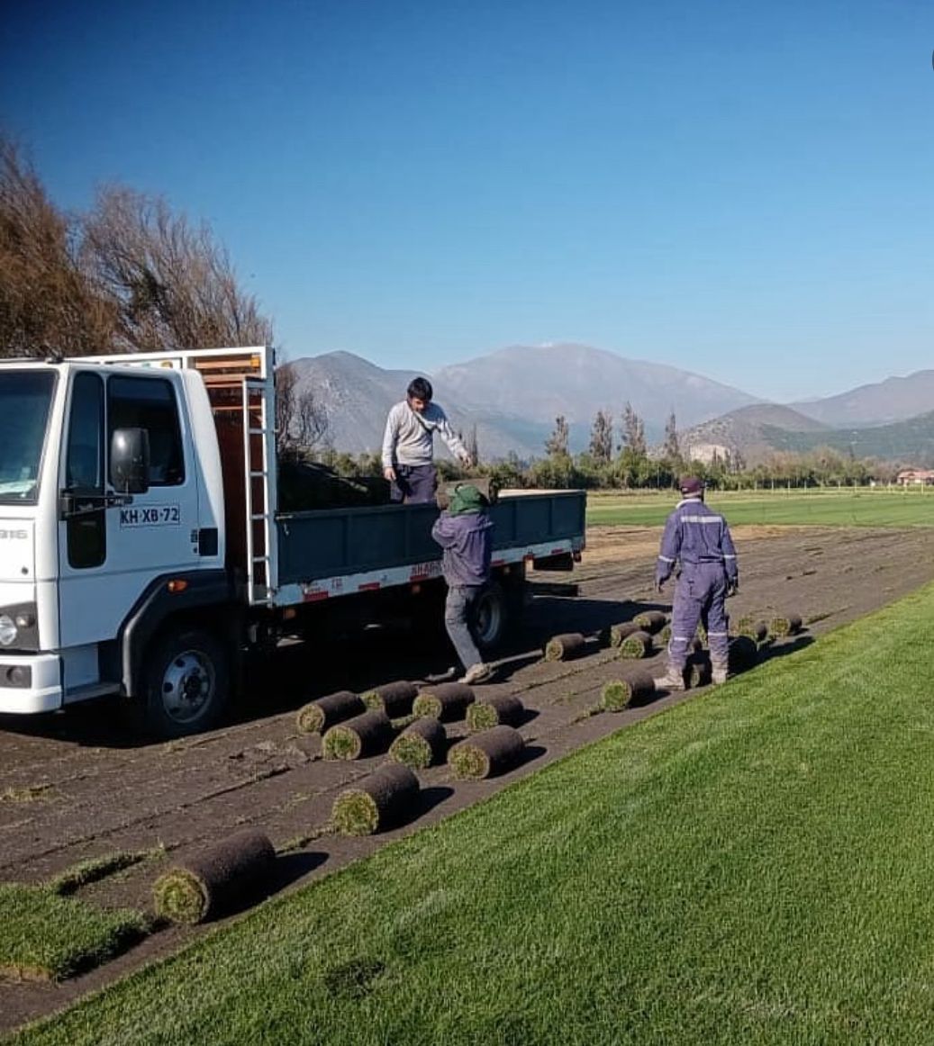 Instalación de Césped Natural o Sintético