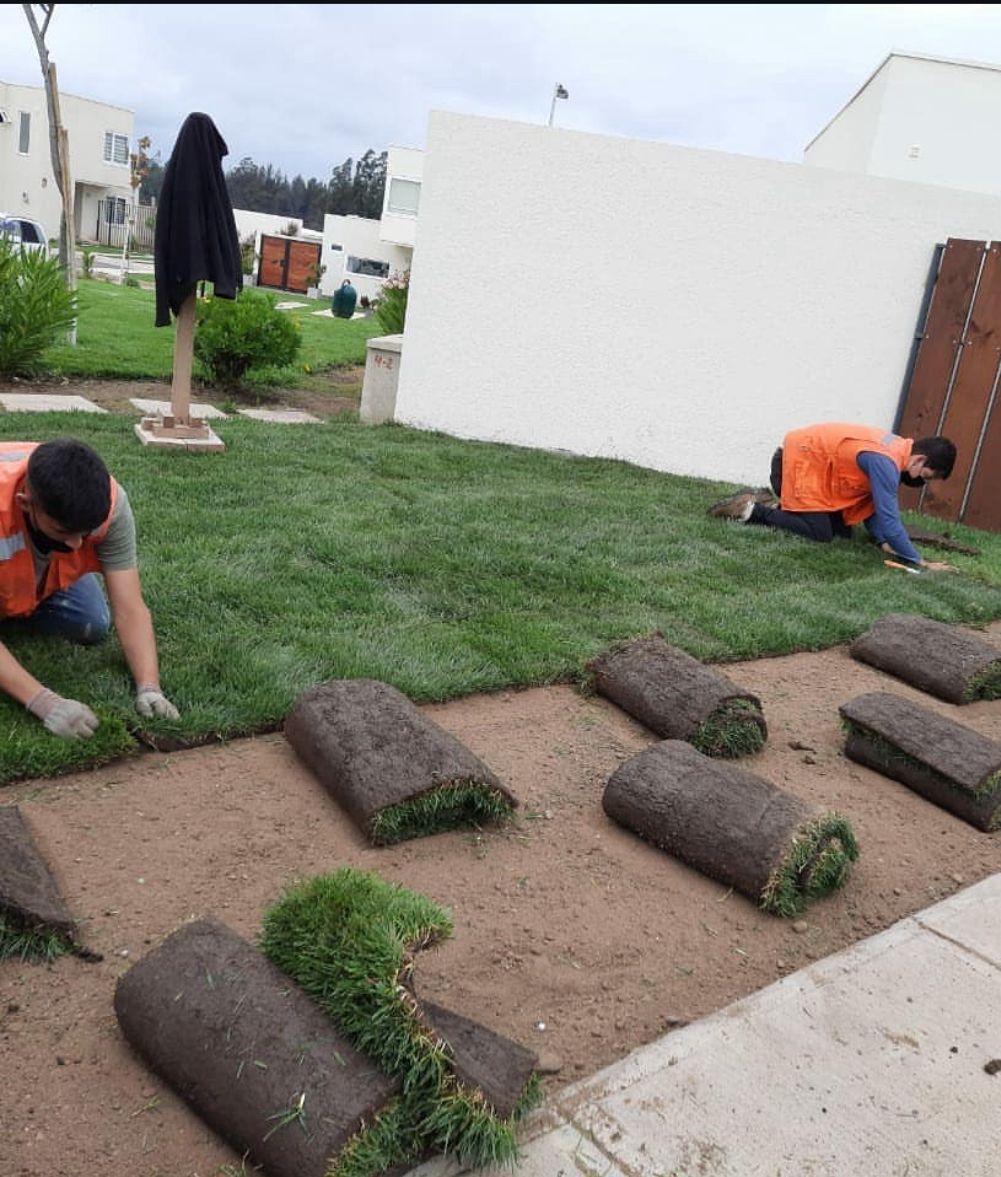 Diseño y Construcción de Jardines